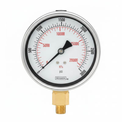 NOSHOK 25-100-300-PSI/KPA-BCR