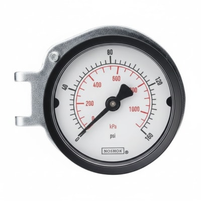 NOSHOK 25-110-30-PSI/KG/CM2-SSB-PMC-BP3