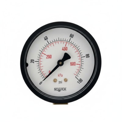 NOSHOK 25-110-30-PSI/KG/CM2-BLFF-BP3