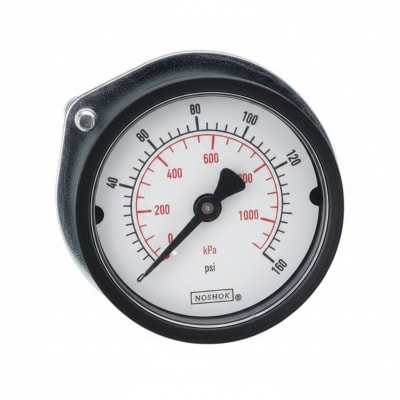 NOSHOK 25-110-30-PSI/KG/CM2-BP3-CC