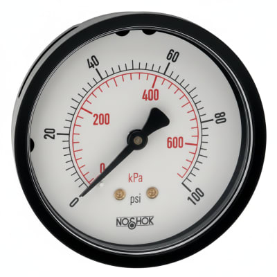 NOSHOK 25-110-300-PSI/KG/CM2-PMC