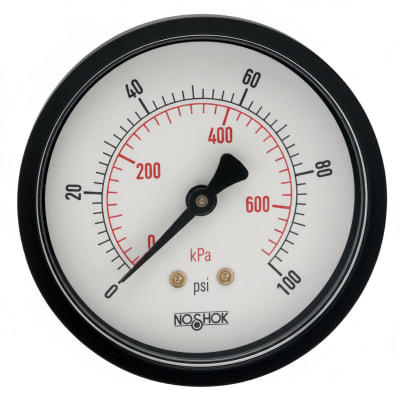 NOSHOK 25-110-300-PSI/KG/CM2-CFF-BP3