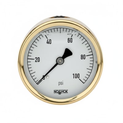 NOSHOK 25-400-400-PSI-SP