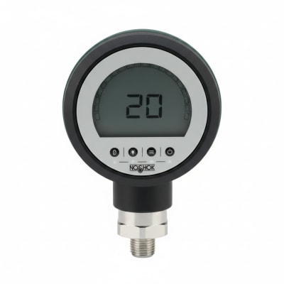 NOSHOK 25-500-400-PSI-SG-SL
