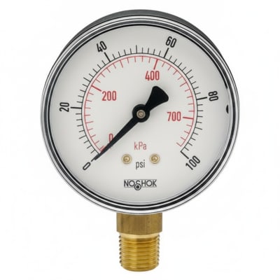 NOSHOK 25-100-200-PSI/KG/CM2-BCR