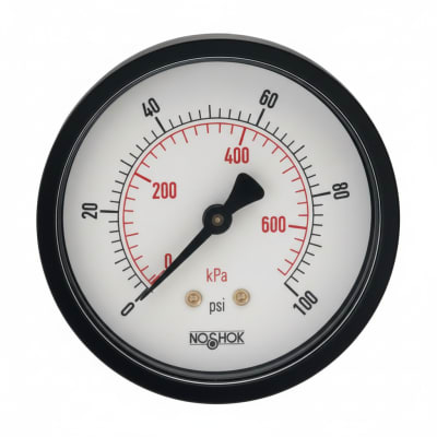 NOSHOK 25-110-100-PSI/KPA-SSB