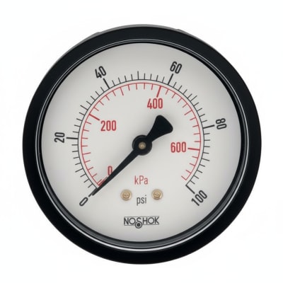 NOSHOK 25-110-100-PSI/KPA-SSB-BP3-CC