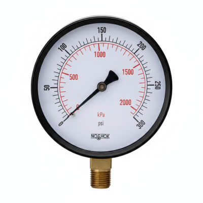 NOSHOK 25-110-100-PSI/KPA-SSB-PMC-BP3