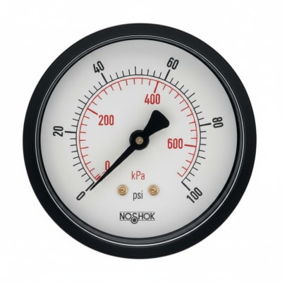 NOSHOK 25-110-100-PSI/KPA-SSB-CC