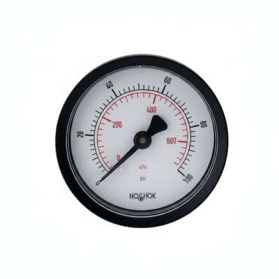 NOSHOK 25-110-60-PSI/KG/CM2-PMC