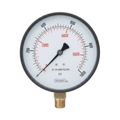 NOSHOK 25-110-5000-PSI/KPA-BP3-CC
