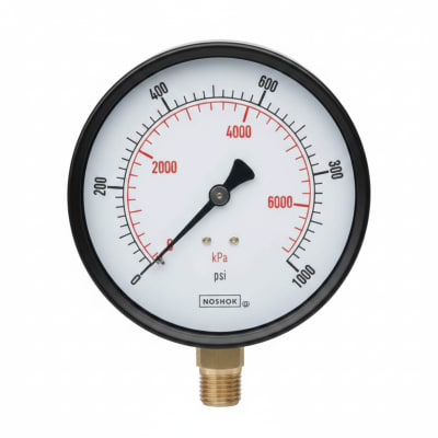 NOSHOK 25-110-5000-PSI/KPA-SSB-PMC-BP3
