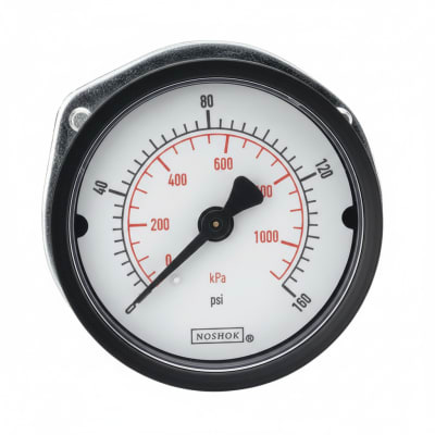 NOSHOK 25-110-5000-PSI/KPA-CFF-BP3