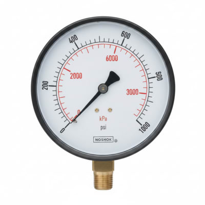NOSHOK 25-110-5000-PSI/KPA-SSB-BP3-CC