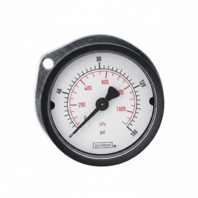 NOSHOK 15-110-160-PSI/KPA-BLFF-BP3