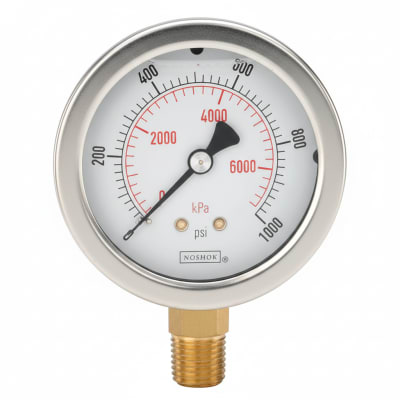 NOSHOK 15-110-300-PSI/KG/CM2-CFF