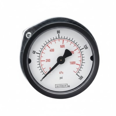 NOSHOK 15-110-300-PSI/KPA-BLFF