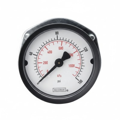 NOSHOK 15-110-60-PSI/KPA-BLFF-BP3