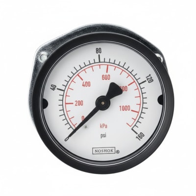 NOSHOK 15-110-60-PSI/KG/CM2-BLFF-BP3