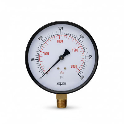 NOSHOK 15-110-160-PSI/KG/CM2-BLFF-CC