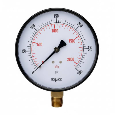 NOSHOK 15-110-160-PSI/KG/CM2-CFF