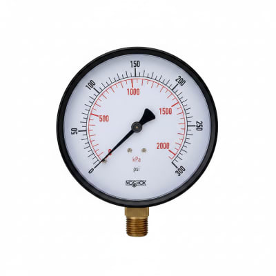 NOSHOK 20-110-100-PSI/KPA-BLFF-CC
