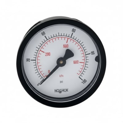 NOSHOK 20-110-30-PSI/BAR-BLFF-BP3