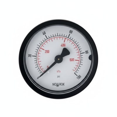 NOSHOK 20-110-300-PSI/KPA-BLFF