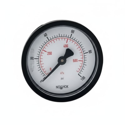 NOSHOK 20-110-300-PSI/BAR-BLFF-BP3