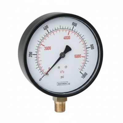NOSHOK 20-110-30-PSI/KPA-BLFF-BP3