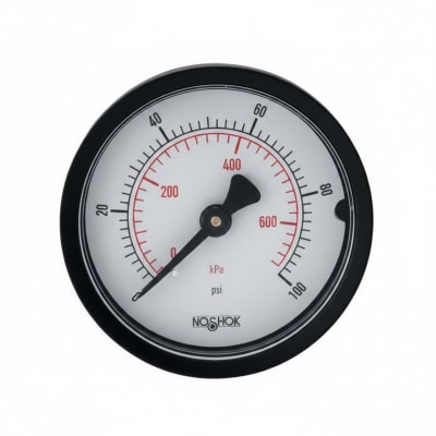 NOSHOK 20-110-60-PSI/KPA-BLFF-CC