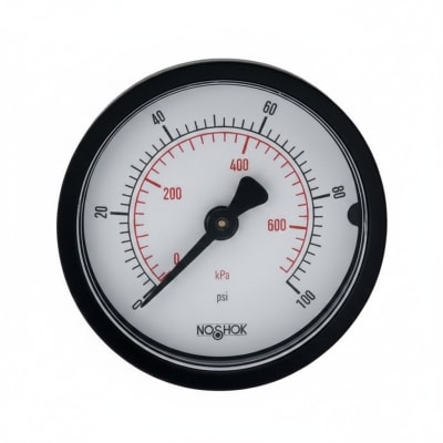 NOSHOK 20-110-60-PSI/KG/CM2-BLFF-BP3