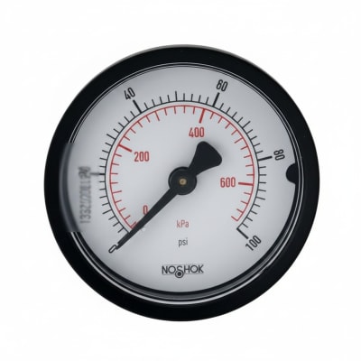 NOSHOK 20-110-30-PSI/KPA-1/8-BLFF-CC