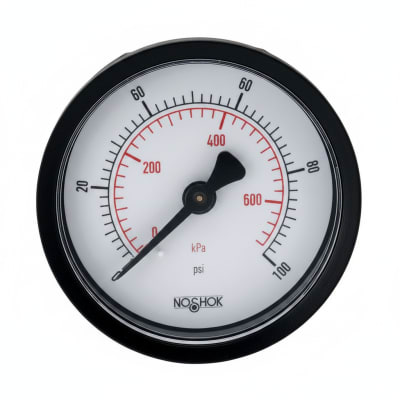 NOSHOK 20-110-300-PSI/KG/CM2-BLFF