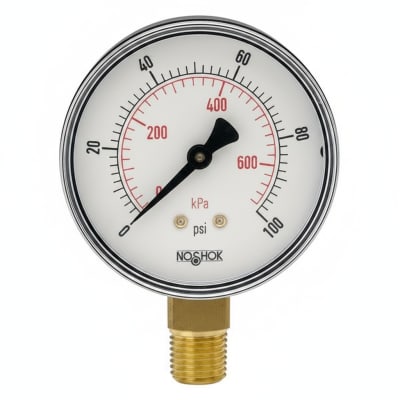 NOSHOK 20-110-30-PSI/KPA-1/8-BLFF