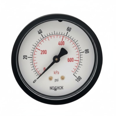 NOSHOK 25-110-200-PSI/KPA-BLFF-CC