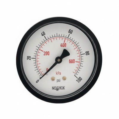 NOSHOK 25-110-30-VAC/KG/CM2-BLFF