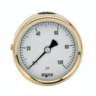 NOSHOK 25-310-30/15-PSI-CFF-BT8