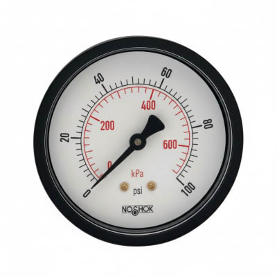 NOSHOK 25-110-200-PSI/KG/CM2-SSB