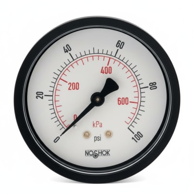 NOSHOK 25-110-200-PSI/KG/CM2-SSB-PMC-CC