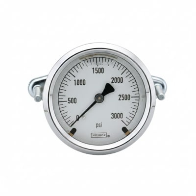 NOSHOK 25-310-5000-PSI-CFF-BT4