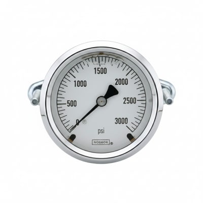 NOSHOK 25-310-5000-PSI-CFF-BT8