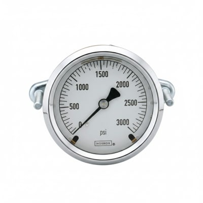 NOSHOK 25-310-5000-PSI-CBU-BT8