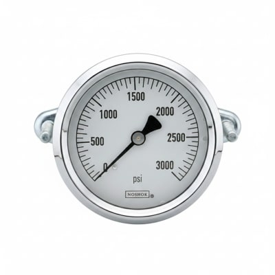 NOSHOK 25-310-5000-PSI-SGO-GY40