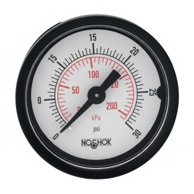 NOSHOK 15-100-60-PSI/KG/CM2-BP3