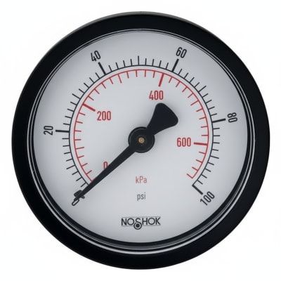 NOSHOK 25-100-300-PSI/KPA-CRC