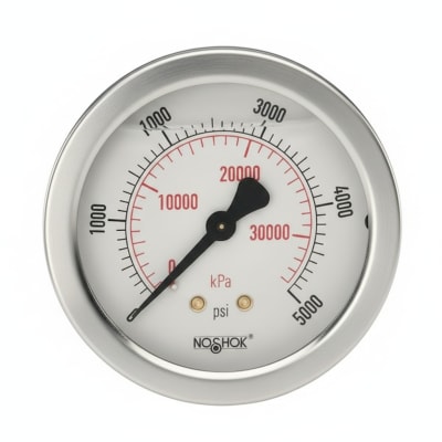 NOSHOK 20-100-60-PSI/KPA-O2