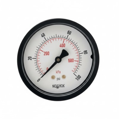 NOSHOK 25-110-1000-PSI/KPA-SSB-PMC-CC