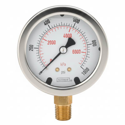 NOSHOK 40-400-300-PSI/KG/CM2-1/4-SG-SSFF