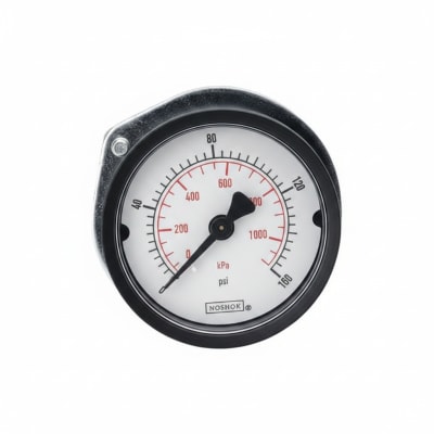NOSHOK 25-110-1000-PSI/KPA-SSB-PMC-BP3